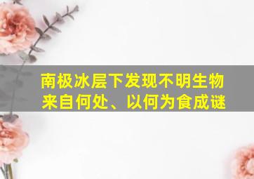 南极冰层下发现不明生物 来自何处、以何为食成谜